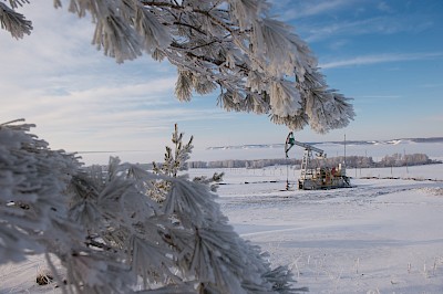 Заснеженные дали
