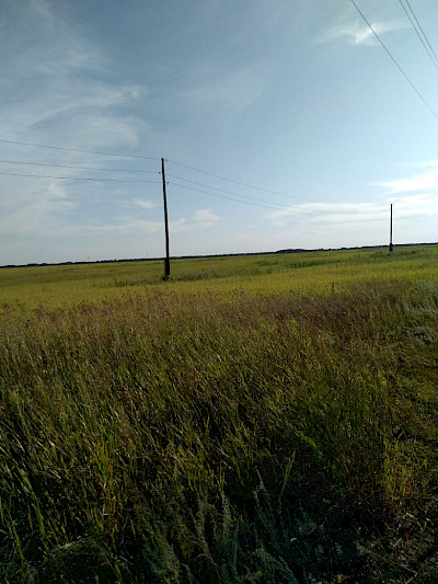 Простор