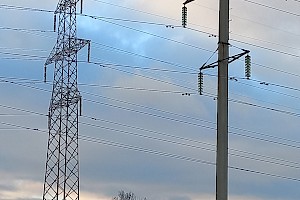 Разные формы, одна цель