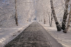 Дорога к Снежной королеве