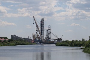 Ростки нового