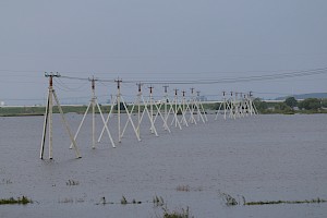 Синхронное плавание