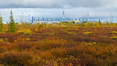 2_В гармонии с природой