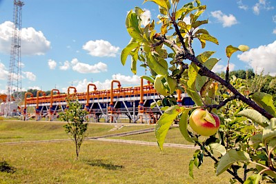 индикатор от природы